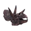 Triceratops Skull Sculpture Resin Brown - Detailed Fossil Texture A realistic Triceratops skull model with detailed horns, frill, and fossil-like texture.