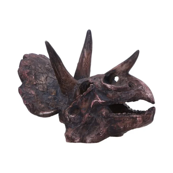 Triceratops Skull Sculpture Resin Brown - Detailed Fossil Texture A realistic Triceratops skull model with detailed horns, frill, and fossil-like texture.