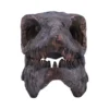 Dinosaur Fossil Skull Replica Brown - Sharp Teeth Display Fossilized carnivorous dinosaur skull with sharp teeth and large eye sockets on display.