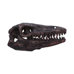 Prehistoric Dinosaur Skull Model Resin Brown - Sharp Teeth Detail A realistic brown model of a prehistoric carnivorous dinosaur skull with sharp teeth and detailed texture.