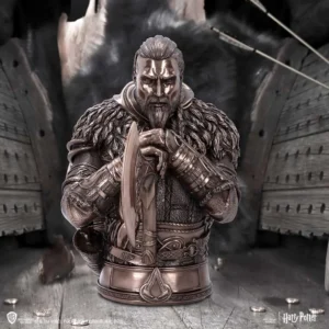 Assassin's Creed Valhalla Show your unwavering appreciation for the fearless Viking raider Eivor