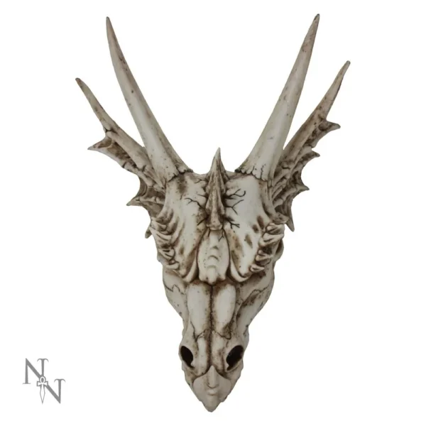 Dragon Skull Sculpture Resin Off-White - Horned Fantasy Design Fantasy dragon skull sculpture with curved horns, aged bone texture, and intricate mythical detailing.