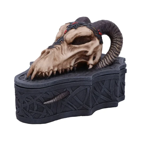 Gothic Resin Bone Dragon Skull Ram Box
