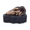 Ram Dragon Skull Gray Resin Box Ram Dragon Skull Gray Resin Box