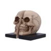 Realistic Skull Bookends Resin Beige - Split Full Skull Design Realistic split skull bookends on black bases forming one full skull design The-Hidden-Hatch