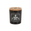 Poison Apple Sweet Apple Candle 8 Poison Apple Sweet Apple Candle