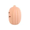 30cm Terracotta Pumpkin Ornament 10 30cm Terracotta Pumpkin Ornament