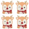 Ruby the Reindeer Coaster Set