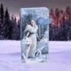 b3930k8-7.webp Winter Guardians Embossed Purse (AS) 18.5cm
