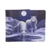 b3951k8.webp Warriors of Winter Wallet (LP)