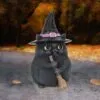 Lucky Black Cat 12cm
