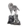 Guidance 25cm (LP)