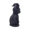 Pawzuph 11cm