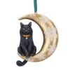 b5783u1.webp Moon Cat Hanging Ornament (LP) 9cm