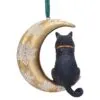 b5783u1-2.webp Moon Cat Hanging Ornament (LP) 9cm