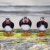 b6921c24-7.webp Three Wise Puffins 9cm