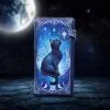b7093b25-7.webp Feline Constellation Embossed Purse 18.5cm