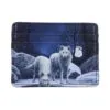 Warriors of Winter Card Holder (LP) 10.5cm