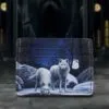 Warriors of Winter Card Holder (LP) 10.5cm