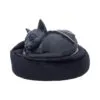 Malpuss Dreams