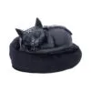Malpuss Dreams