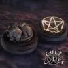 Malpuss Dreams