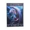 Dragon Mage Journal (AS) 17cm