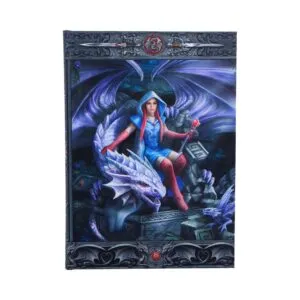Dragon Mage Journal (AS) 17cm