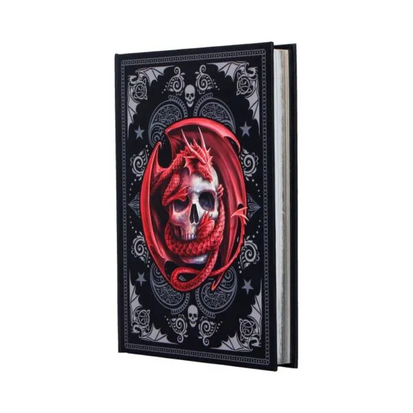 b7540b26-1.webp Skull Embrace Journal (AS) 17cm