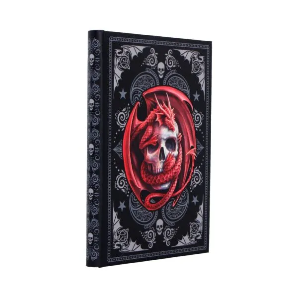 b7540b26-2.webp Skull Embrace Journal (AS) 17cm