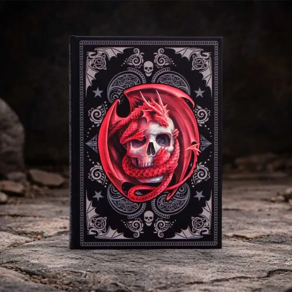 b7540b26-7.webp Skull Embrace Journal (AS) 17cm