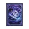 b7541b26.webp Welcome Hatchling Journal (AS) 17cm