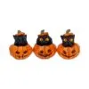 Three Wise Pumpkin Patch