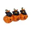 Three Wise Pumpkin Patch