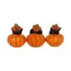 Three Wise Pumpkin Patch