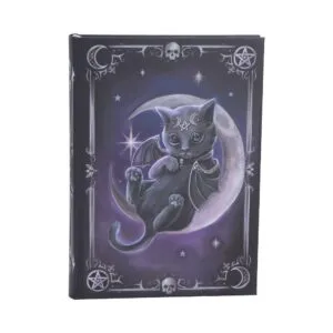 b7677b26.webp Malpuss Journal 17cm