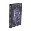 Zefur Journal 17cm