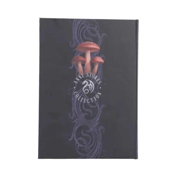 Mushroom Dragon Journal (AS) 18cm