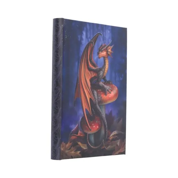 Mushroom Dragon Journal (AS) 18cm