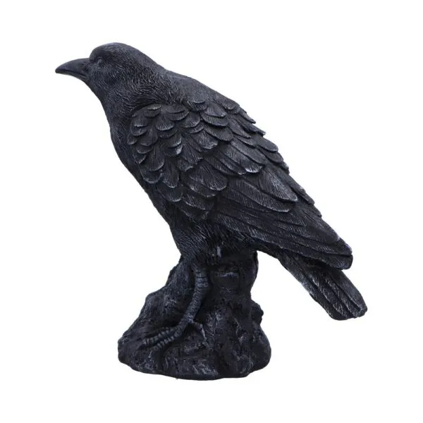 Raven Messenger 25cm