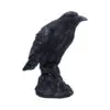 Raven Messenger 25cm