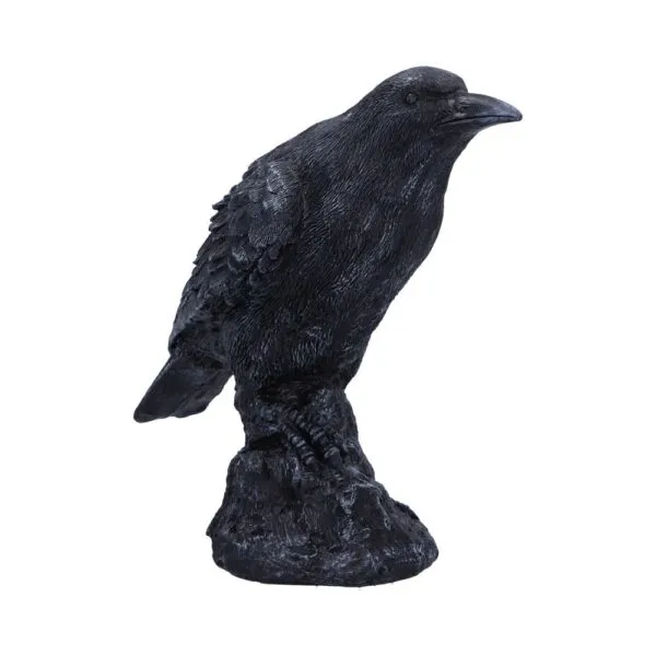 Raven Messenger 25cm