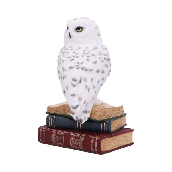 Library of Wisdom 17cm