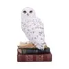 Library of Wisdom 17cm