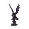 Cathoron's Call 49cm