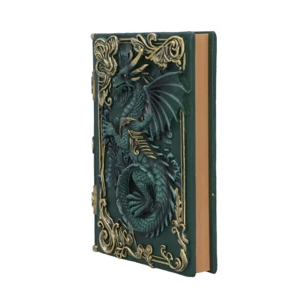 Dragon's Grimoire Journal 19cm