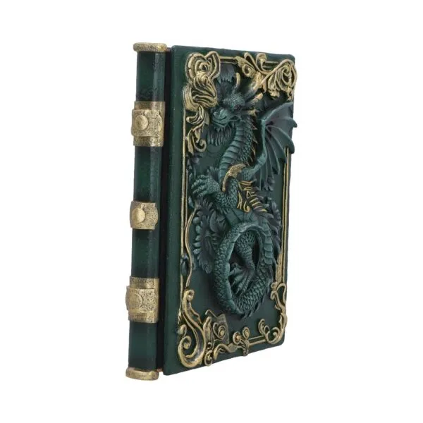 Dragon's Grimoire Journal 19cm