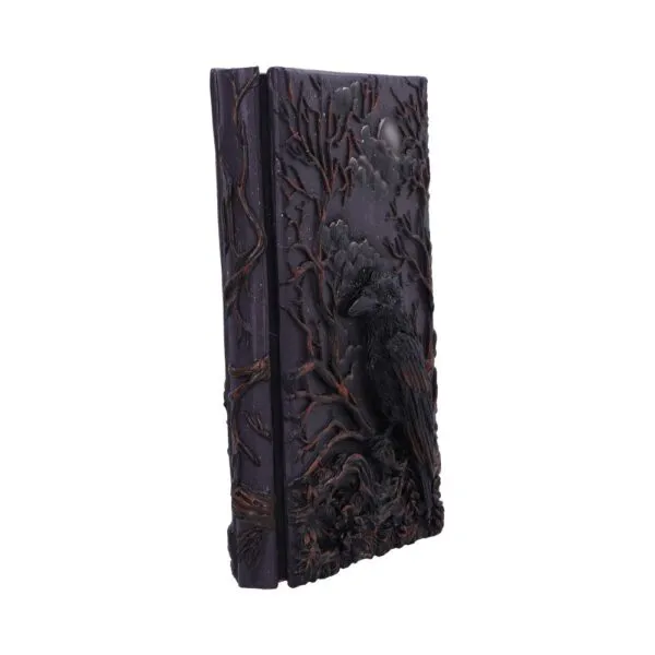 Raven's Grimoire Journal 19cm