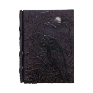 d7209c25.webp Raven's Grimoire Journal 19cm