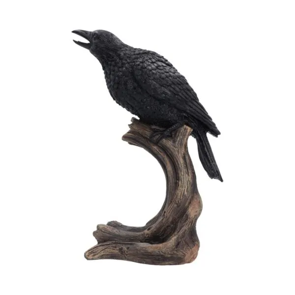 Ravenâ€™s Caw 26.8cm